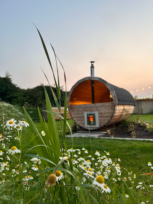 Spring Saunas: Where Nature, Heat and Cold Collide